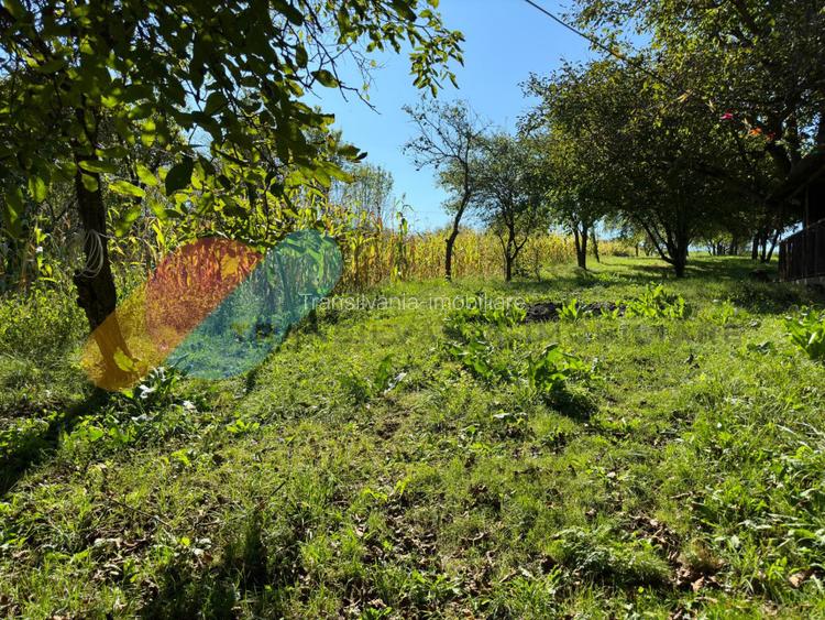 Casa Individuala 170 Mp In Visea cu teren de 2000mp - 7