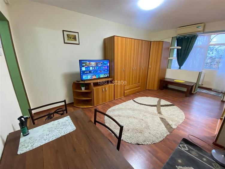 Apartament 1 camera - Tatarasi - 2
