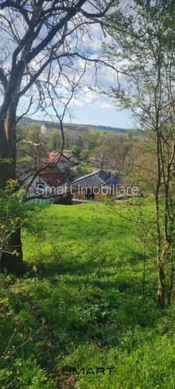 Casa individuala Cisnadie - 6