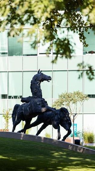 Inchiriere Birouri - Bucharest Business Park de la 233 mp - 7