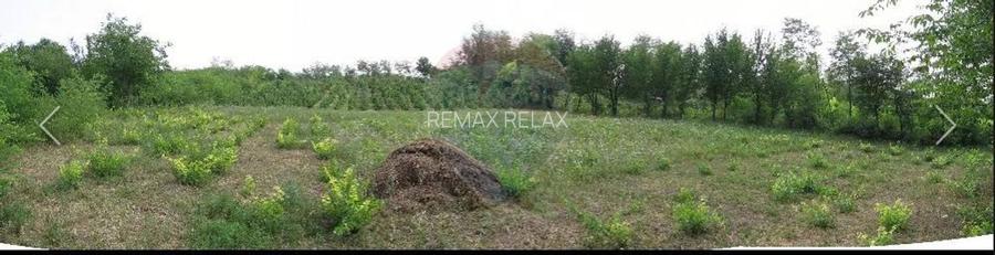 Teren 6,890mp Crasna / Strada Crasna - 6