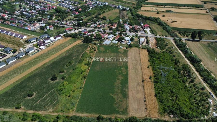 Teren Constructii Intravilan 4750mp SABARENI - 0% COMISION - 7