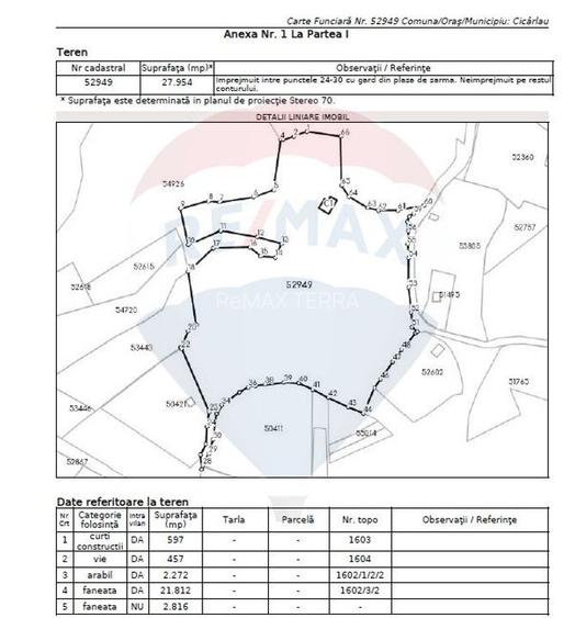 OCAZIE.  De vanzare teren în Cicarlau - Strada 1 Mai - super pret - 3