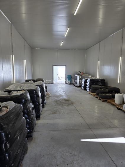 Hala industriala noua de inchiriat – Lumina, Constanta - 3