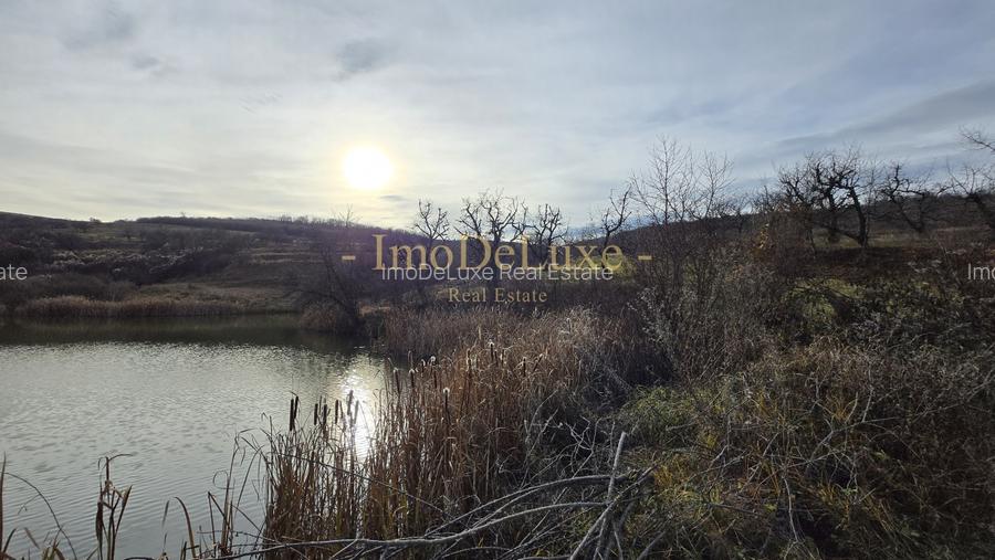 Teren extravilan langa lac, 8500mp, priveliste, acces, utilitati, zona Baciu - 2