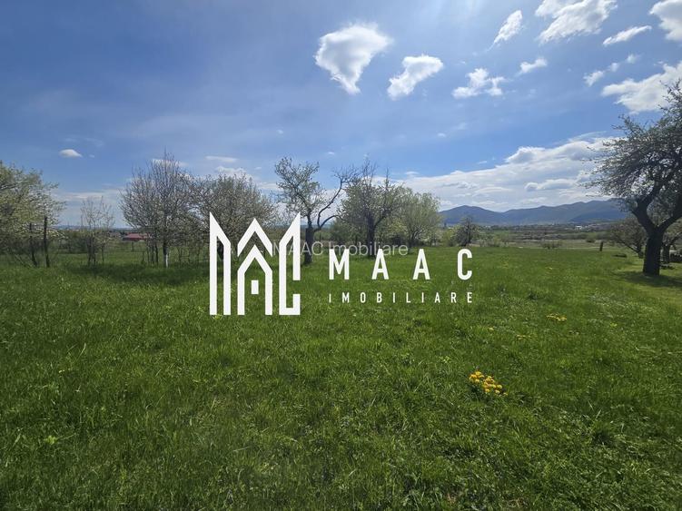 Teren 5400 mp superb cu livada si vedere spre munti Orlat - 8