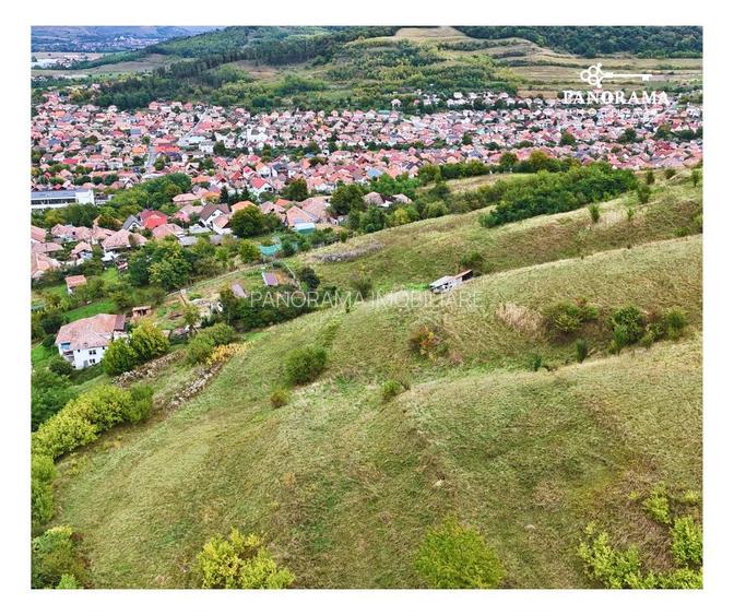 Teren intravilan de aproape 3 ha la liziera pădurii | cartierul Gloria - 7