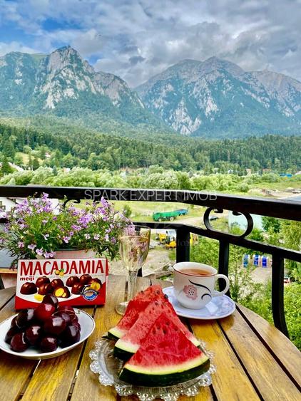 VILA CARTIER ZAMORA//BUSTENI - 4