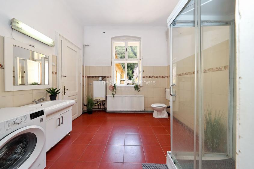 Zona Centrala Structura Generoasa - 13