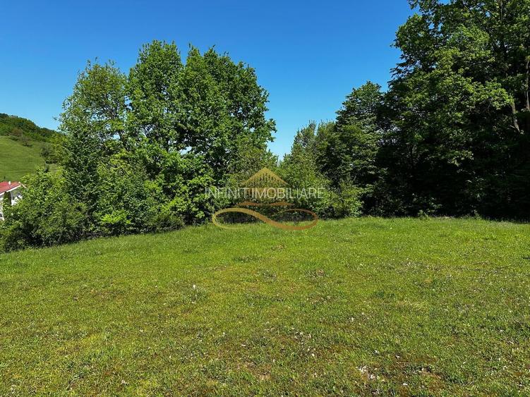 Teren intravilan de vanzare 1439 mp Luncani strada Slatinei - Bacau - 7