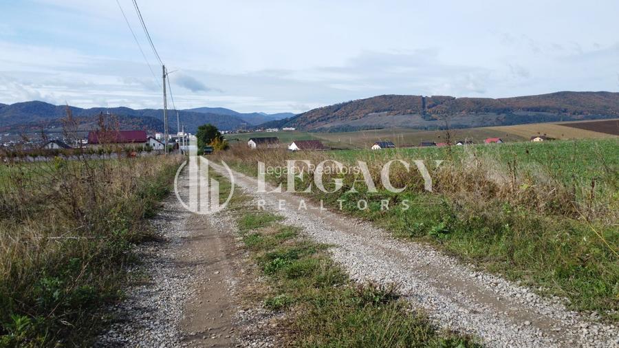 Teren intravilan 10.000 mp Gârcina lângă Sala Polivalenta Piatra Neamț - 3