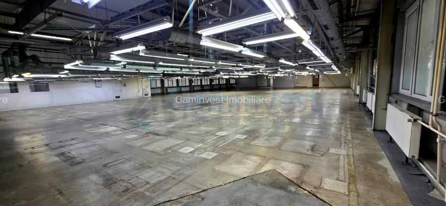Hala de inchiriat in Marghita pentru productie si depozitare, Bihor - 4
