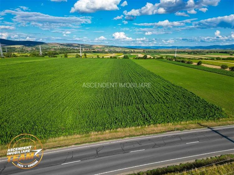 FILM! 30.200 mp teren intravilan,recomandat: investitie/exploatare agricola,Vale - 2