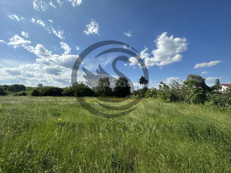 Teren Vanzare 11.000 MP Ghirdoveni | Comision 0% - 2