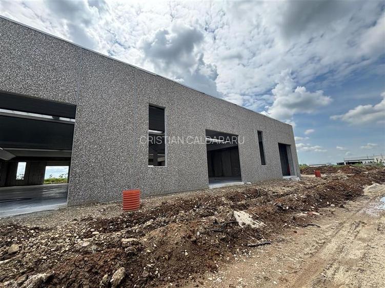 Vanzare depozit/spatiu industrial/hala Chitila - Rudeni, ILFOV - 7