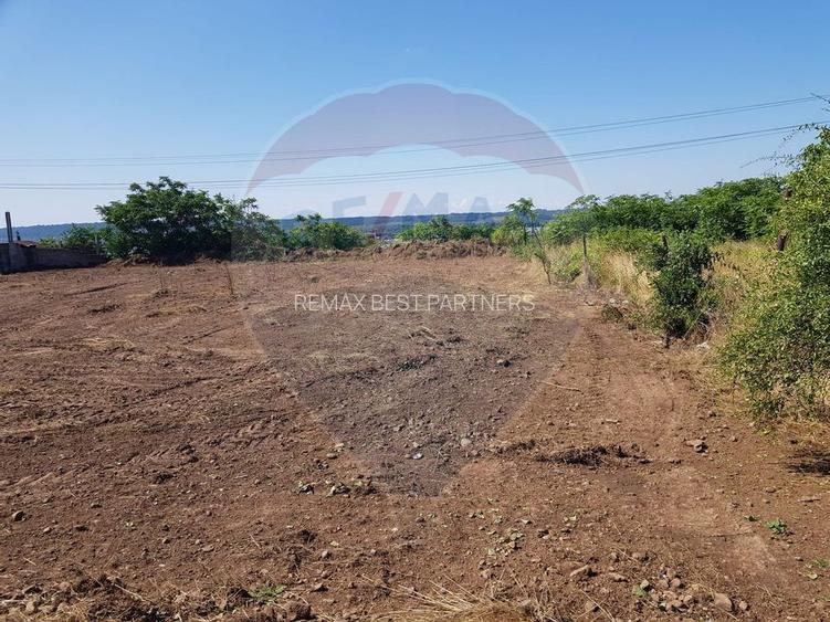 Teren de vanzare in Schela Cladovei, 1760 MP, Intravilan - 4