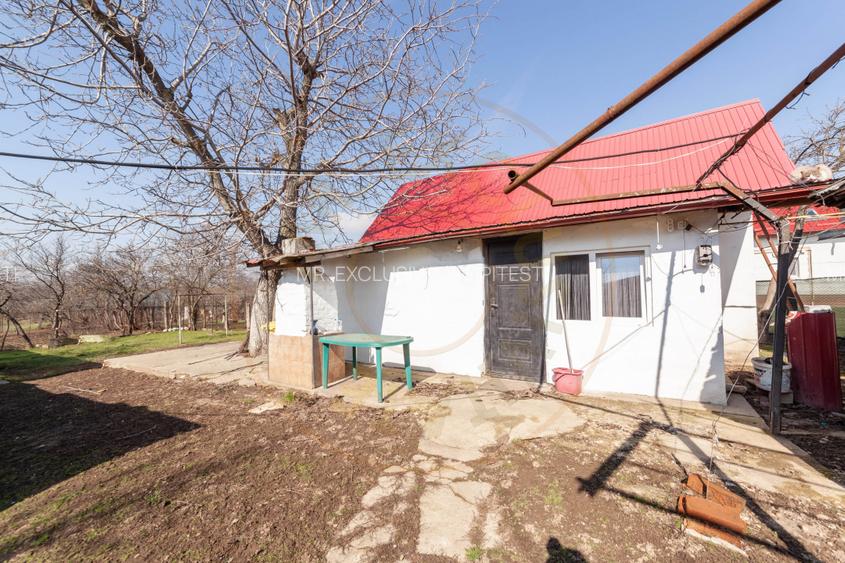 Casa parter + 3.055 mp teren in Costesti - 13