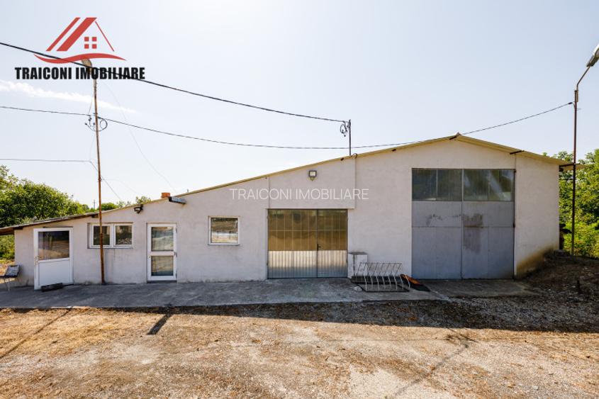 Clădire pensiune-restaurant cu hală și teren 7300mp, Făget ( Timiș ) - 7