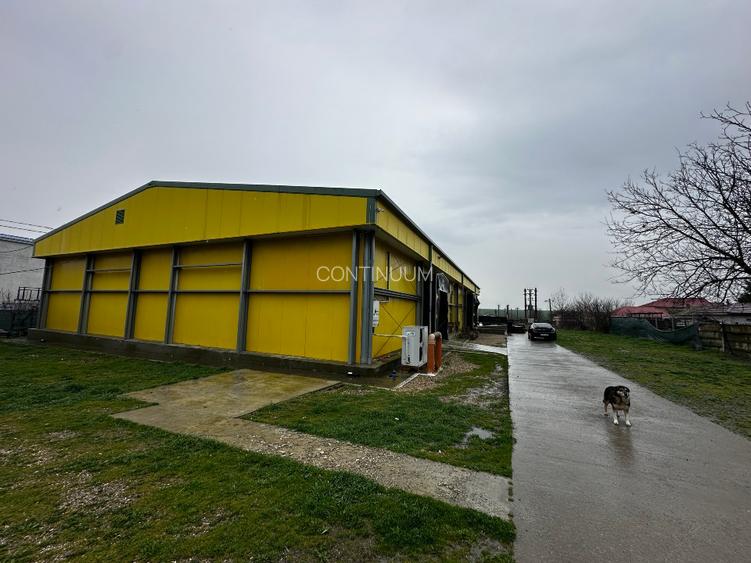 Fabrica de procesare peste si crustacee - Proprietatea Imobiliară Industrială  - 7
