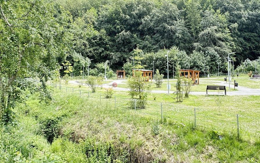 Pet Friendly complex Tampa Gardens - 11