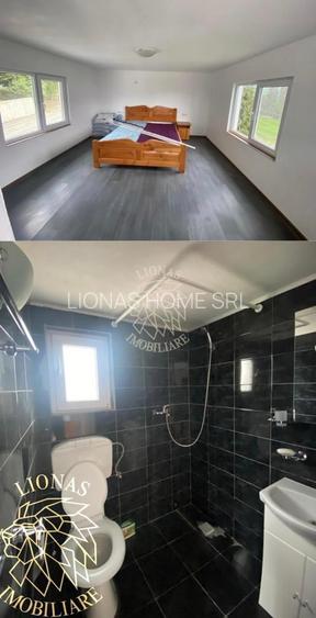 Imobil cu magazin 75 mp-teren 200 mp-Oportunitati Business-Colibita - 3