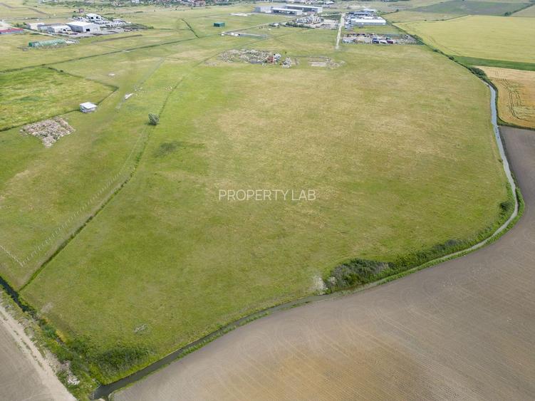 Teren intravilan de 26,606mp Sacalaz - 28