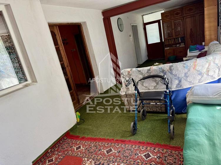 Casa individuala de vanzare P+1+M,teren 900mp,zona Modern Timisoara - 16