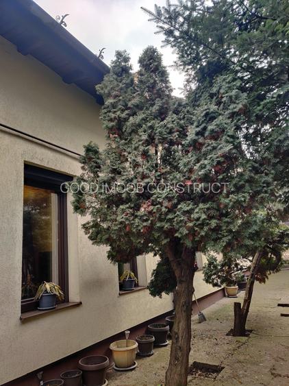 Vilă interbelică și teren 684 mp zona Viilor/Parcul Carol - 12