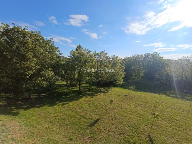 Casa / Proprietate deosebită cu 8142 MP teren | Oarda | - 4