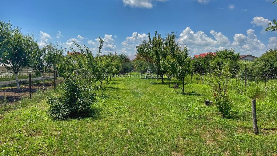 Casă batraneasca cu 3 camere-Oportunitate de Investiție in Domnesti - 11