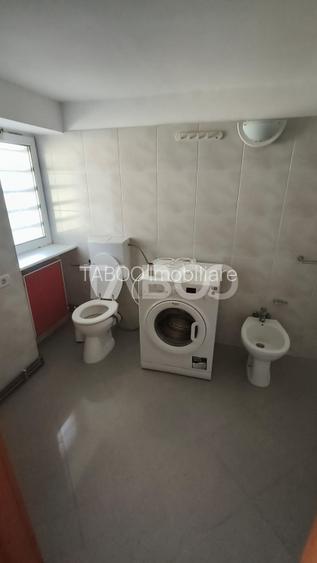 Platforma industriala cu cladiri de vanzare in Salistea de Alba - 12