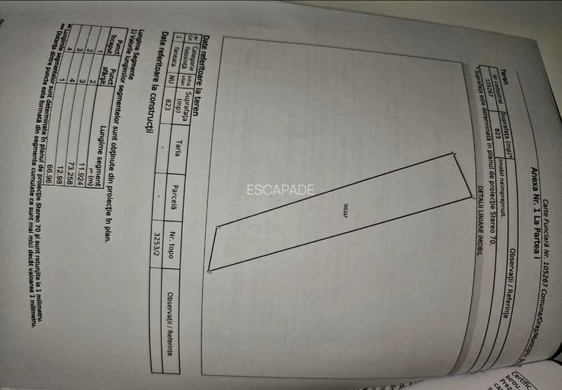 823 mp teren extravilan Sinca Noua/ideal amplasat rulota/cabana - 7