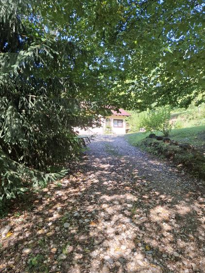 Pensiune agroturistică lângă București | Business funcțional | Iedera de Sus, DB - 17