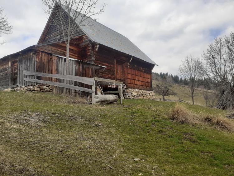 Vind casă și teren în satul Costești, comuna Albac județul Alba   - 2