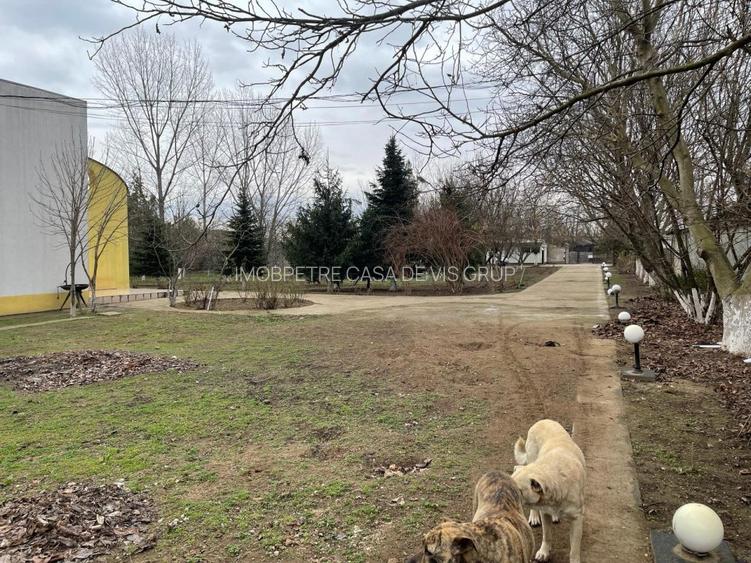Casa de vanzare la 5 min de Centru cu trei nivele (D+P+1) si teren de 4300mp - 40