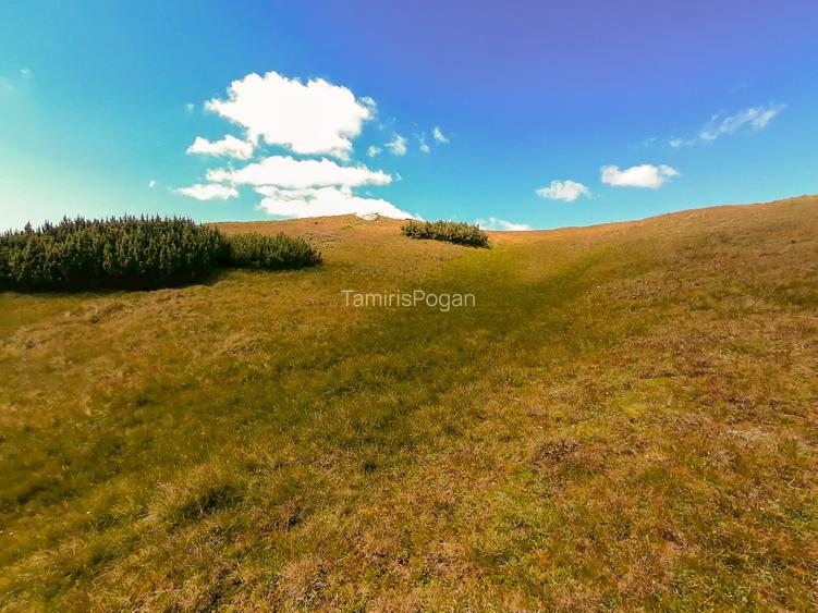 terenuri in Bucegi, Zona Alpina Inalta, pentru dezvoltare cabane, vile turistice - 12