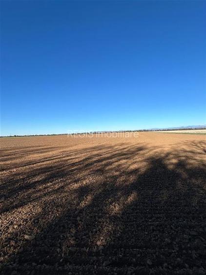 Magnolia Village | Teren 30.000 mp perfect pentru dezvoltare - 7