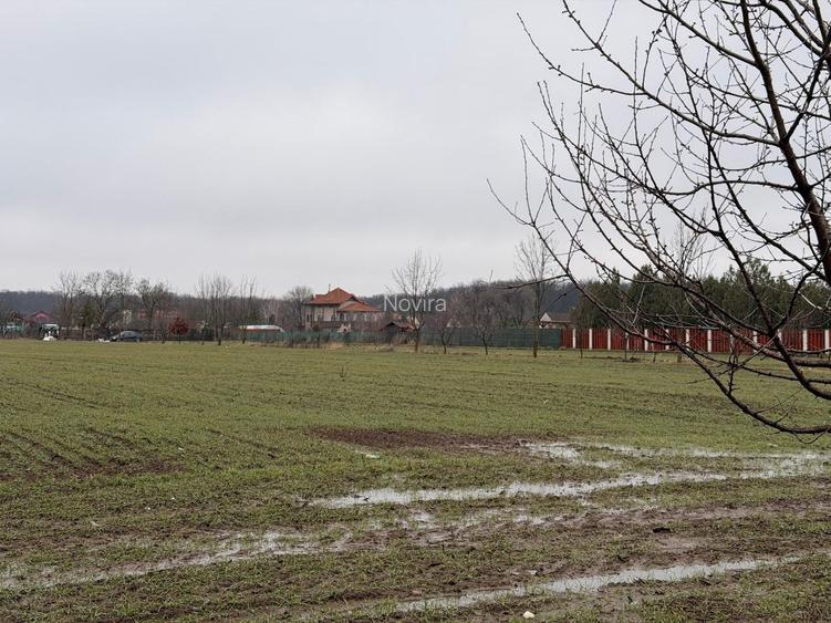 Teren Snagov - Cioflinceni | Drum amenajat | Aproape de Padure si Lac - 4