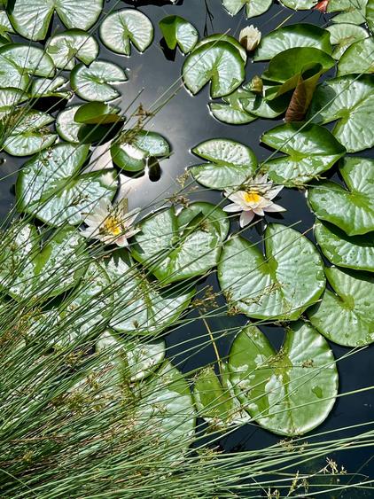 CASA CONCEPT SUSTENABILA CU POMPE DE CALDURA SI PANOURI FOTOVOLTAICE - 16