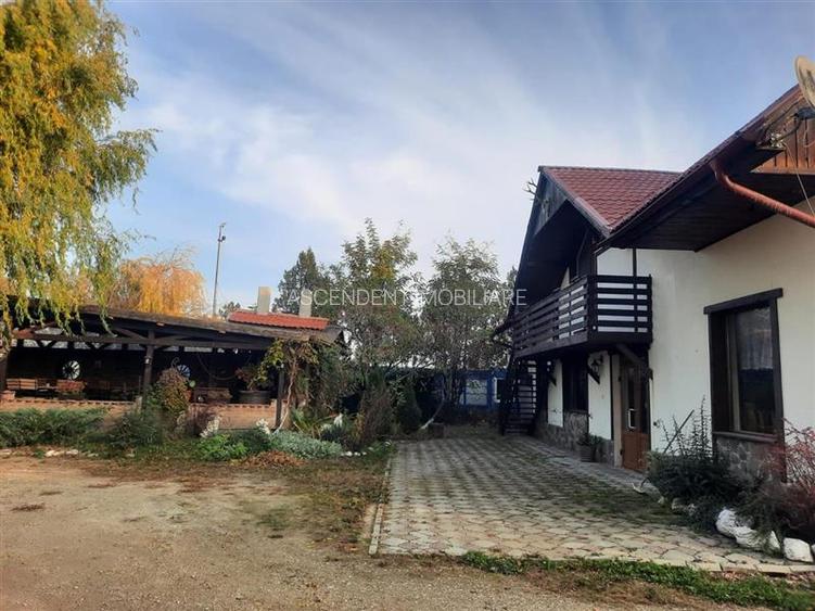 3D! La DN, Spatiu restaurant/ comercial/ activitati divertisment/ Halchiu, Braso - 13