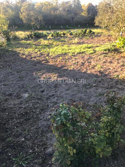 Casa cu 4256 mp teren, la 3 km de Rm  Valcea - 16