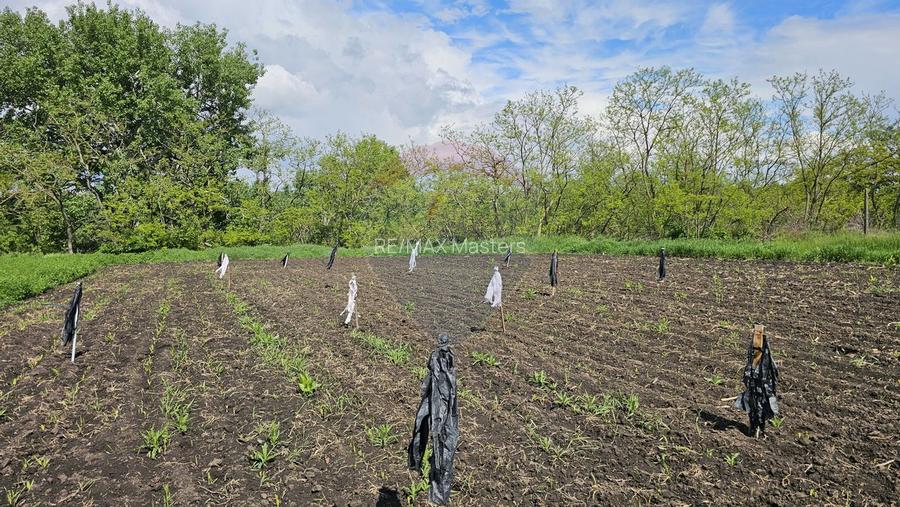 Casă  cu 3 camere, teren intravilan de 1300mp în Ipotești Tișăuți, SV - 28