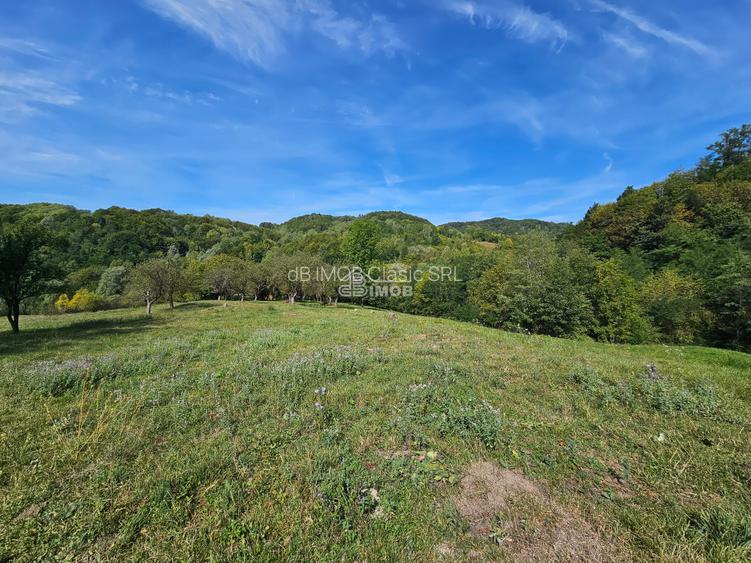 Ideal pentru investitie – Vulcana de Sus - 3