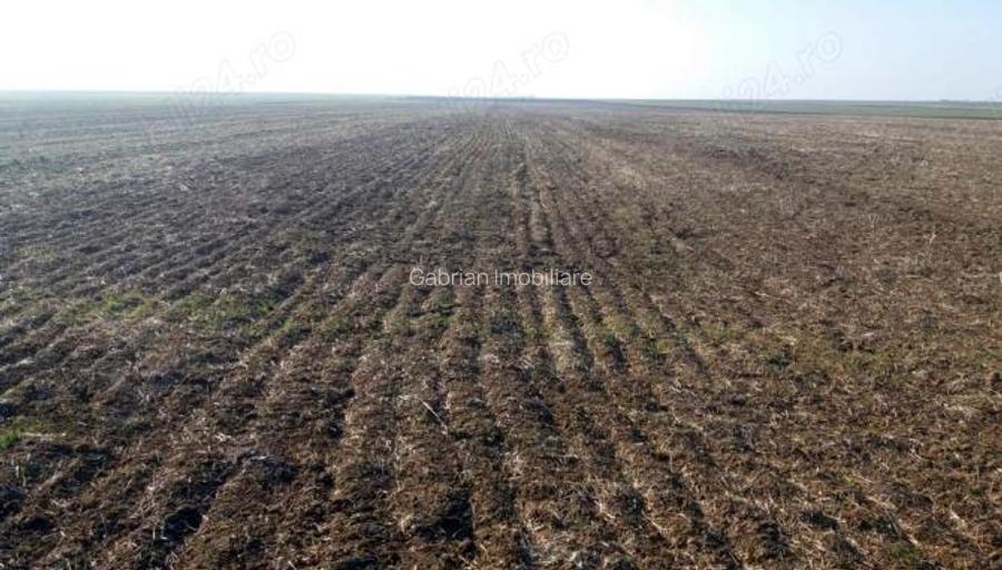 Teren agricol de vanzare 340 Hectare in Arad - 2