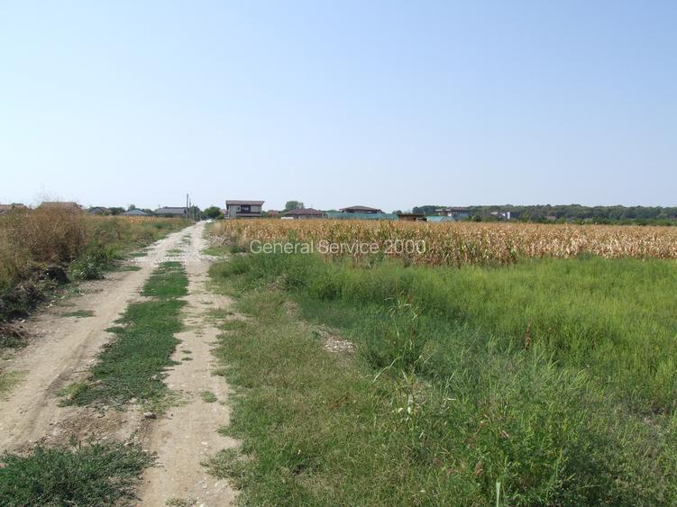 Domnesti-Teghes, teren 9.817 mp strada Pinului - 9
