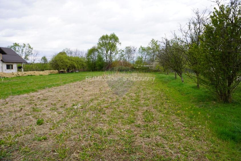 Teren Intravilan de 2.216 mp în Sarasău - 3