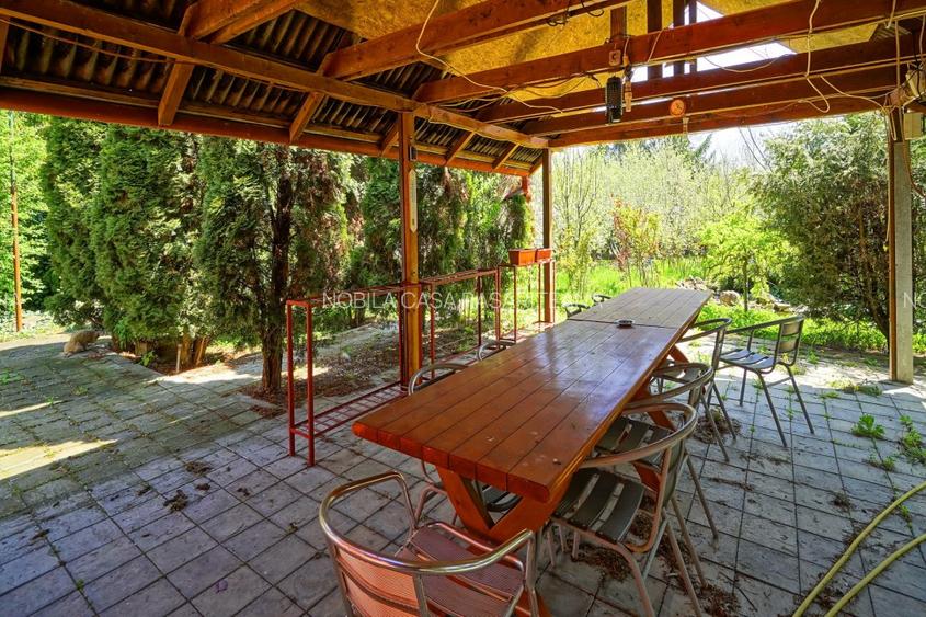 VILA CU PISCINA SCROVISTEA, IDEALA CAMIN DE BATRANI - 11