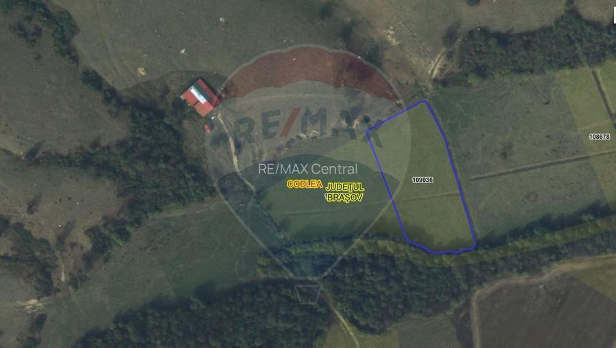 Teren 10,000mp Codlea / DN 1 - 5