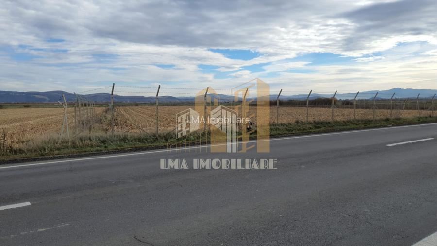 Teren intravilan industrial DN 13 Calea Feldioarei Brasov - 2