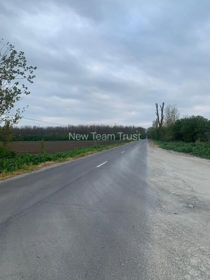 DJ200 Afumati Petrechioaia  Vanzare Teren intravilan -extravilan - 13